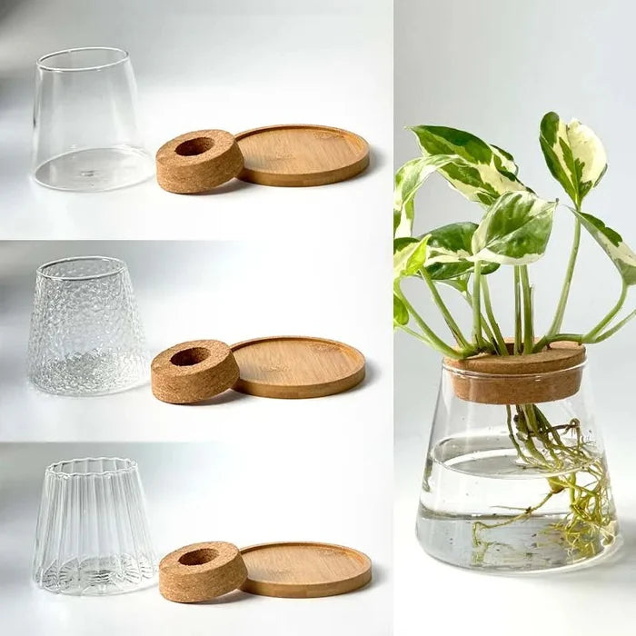 Vaso Decorativo de Vidro Hidropônico Vulcânico