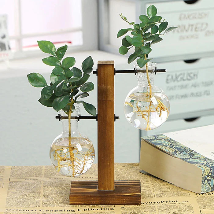 Vaso Decorativo Terrário de Plantas com Suporte