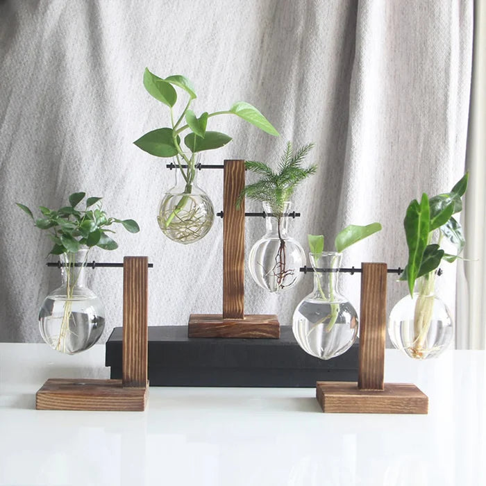 Vaso Decorativo Terrário de Plantas com Suporte