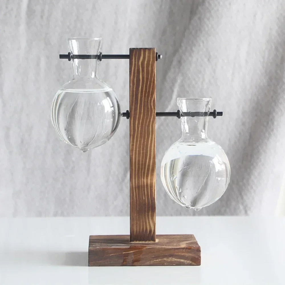 Vaso Decorativo Terrário de Plantas com Suporte