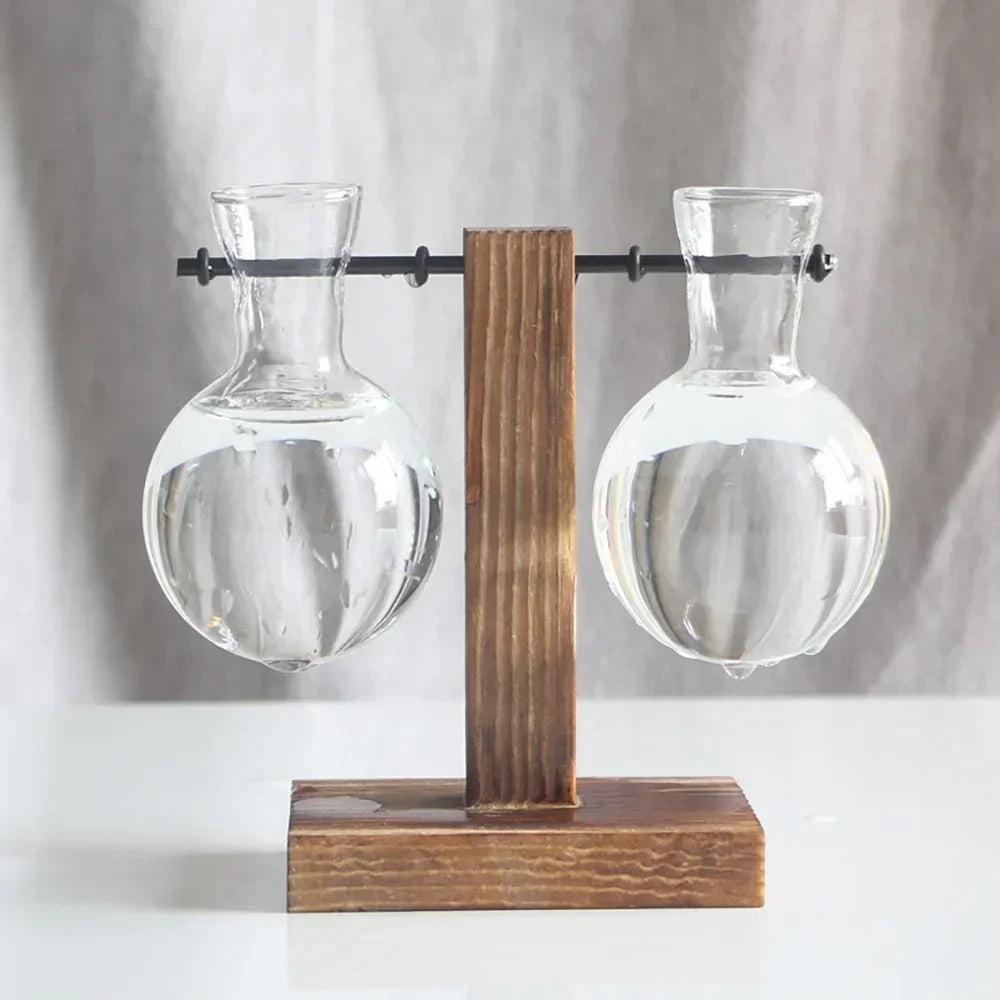 Vaso Decorativo Terrário de Plantas com Suporte