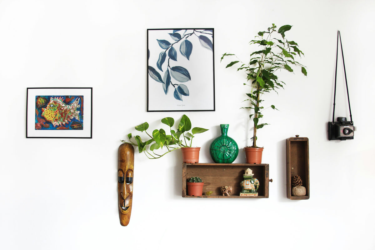 Decoração - Casa Stony