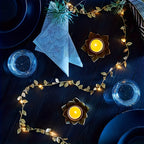 Caixa de pilhas do cordão de luz