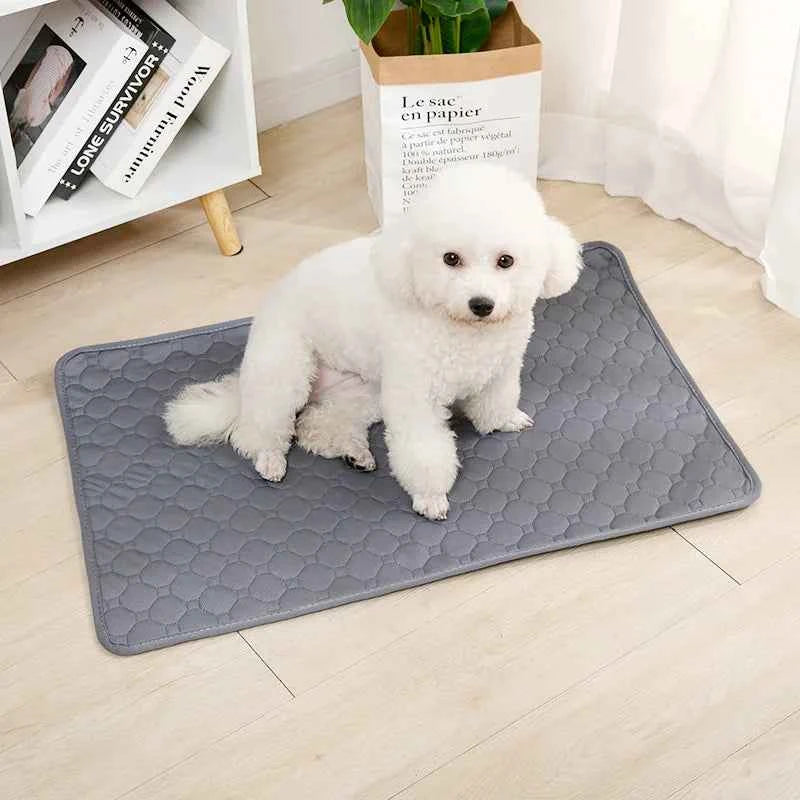 Tapete Antiderrapante Reutilizável para Pet