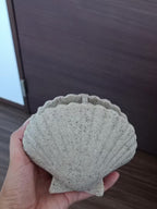 Organizador Porta-Escovas em Resina Concha – Elegância e Organização para o Banheiro
