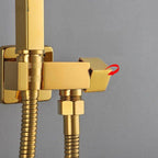 Ducha higiênica gold com registro