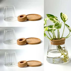 Vaso Decorativo de Vidro Hidropônico Vulcânico