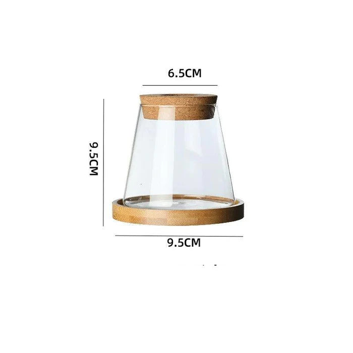 Vaso Decorativo de Vidro Hidropônico Vulcânico - Casa Stony