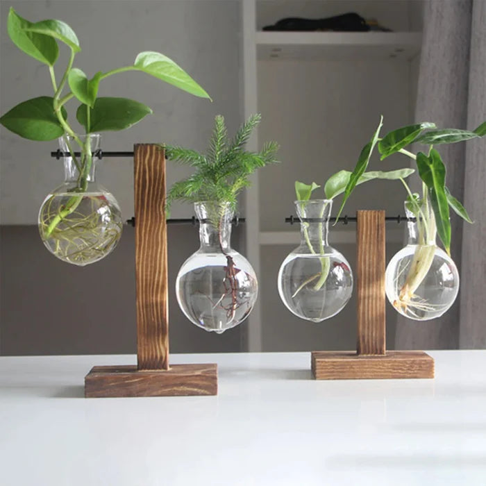 Vaso Decorativo Terrário de Plantas com Suporte