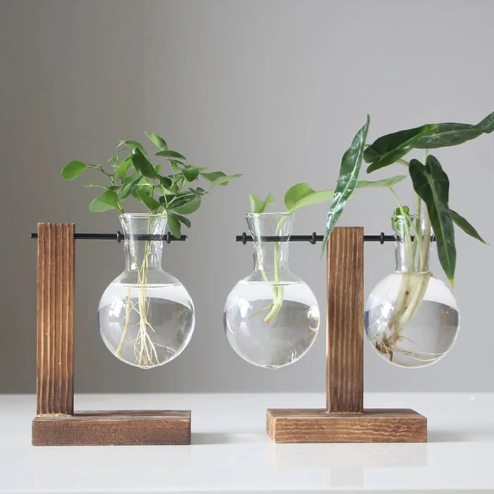 Vaso Decorativo Terrário de Plantas com Suporte
